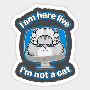 I am here live, I'm not a cat Sticker